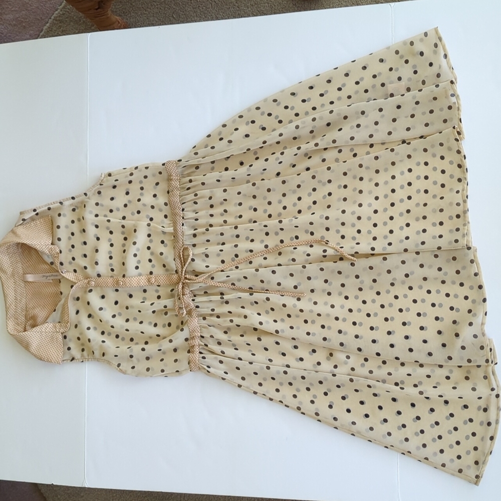Mystree polka dot sheer dress